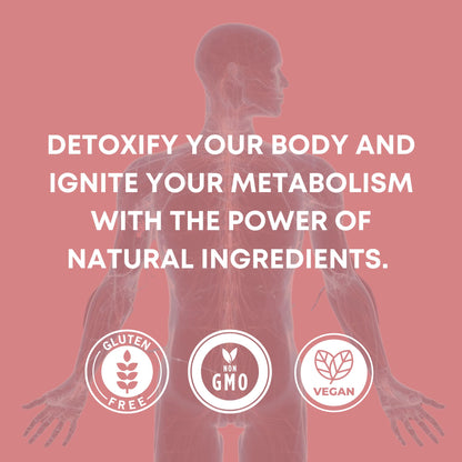 https://cdn.shopify.com/s/files/1/1857/6931/files/713PvEH-RgL.jpg?v=1770707070