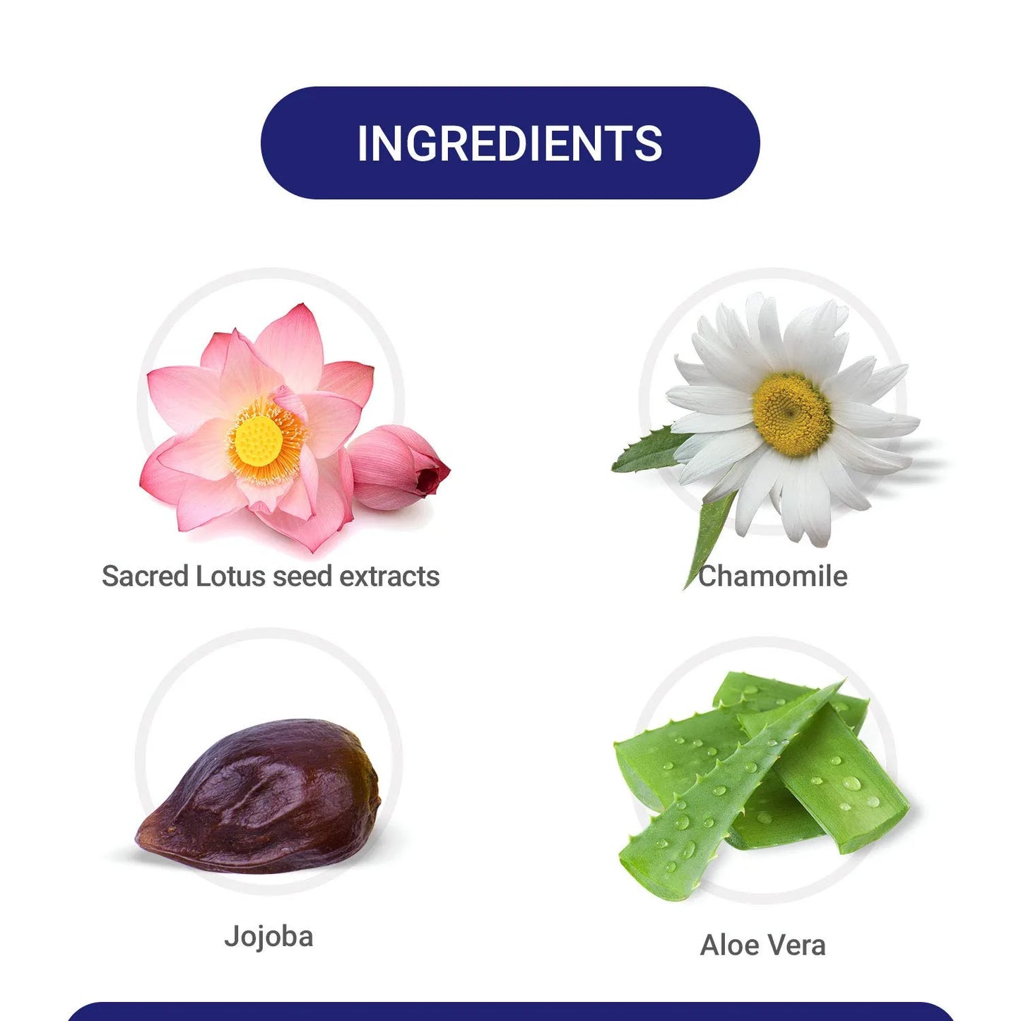 https://cdn.shopify.com/s/files/1/1857/6931/products/713SjFkhNaL._SL1500.webp?v=1672643183
