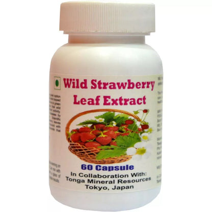 https://cdn.shopify.com/s/files/1/1857/6931/files/71632-1.webp?v=1771495805