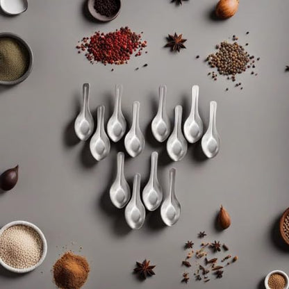 Image 1 of Default Title for the product HAZEL Mini Stainless Steel Masala Spoon Set of 12