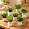 Image 1 of Default Title for the product Go Hooked Artificial Mini Plant (7 Pack) | Small Faux Plants Home & Office Decor, Living Room, Bedroom, Tabletop & Shelves | Small Potted Plants | Stylish Round Pot (Assorted Mini Pots)