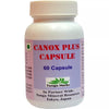 https://cdn.shopify.com/s/files/1/1857/6931/files/71831-1.webp?v=1771495391