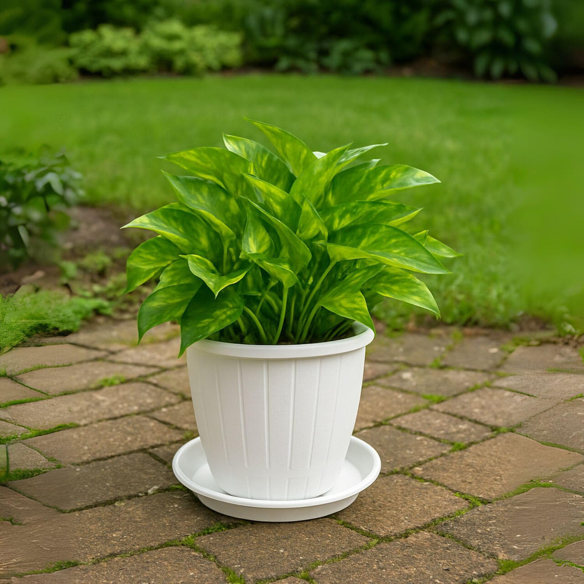 Image 6 of Go Hooked Go HookedPlastic Duro Flower Pot for Gardening, Indoor/Outdoor Planter-White (10 Inch)(Pack of 4 with Tray)