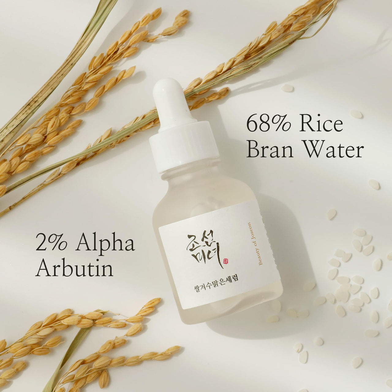 https://cdn.shopify.com/s/files/1/1857/6931/files/71AtyUlxafL.jpg?v=1721635523