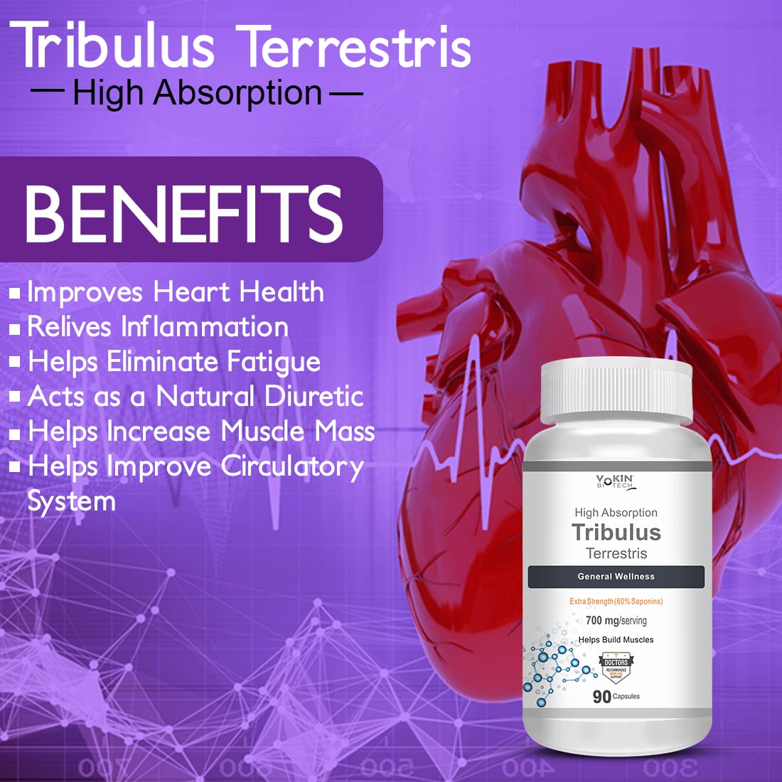 https://cdn.shopify.com/s/files/1/1857/6931/files/71D19ozELJL.jpg?v=1770707031