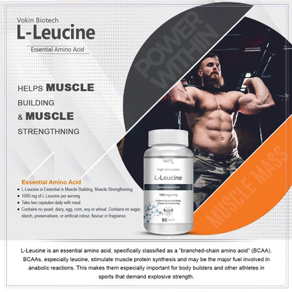https://cdn.shopify.com/s/files/1/1857/6931/files/71DAUJ4xdvL.jpg?v=1770706664