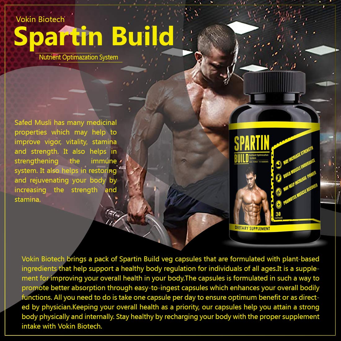 https://cdn.shopify.com/s/files/1/1857/6931/files/71EcnKwbfyL.jpg?v=1770707002