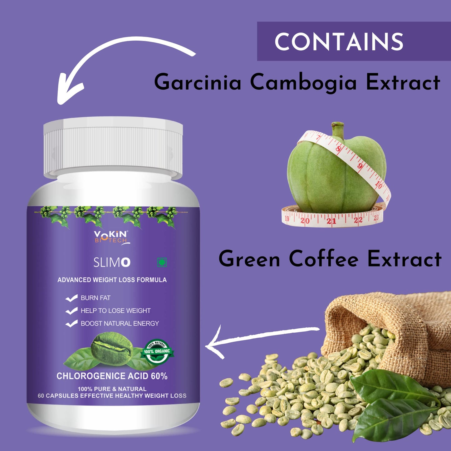 https://cdn.shopify.com/s/files/1/1857/6931/files/71GIdOCW_bL.jpg?v=1770706993