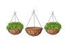 Image 1 of Default Title for the product Go Hooked 8" Coir Hanging Basket/Coco Gardening Liner with Hanging Pots and Metal Hanging Chain/Hanging Planters- Set of 3 (Brown)
