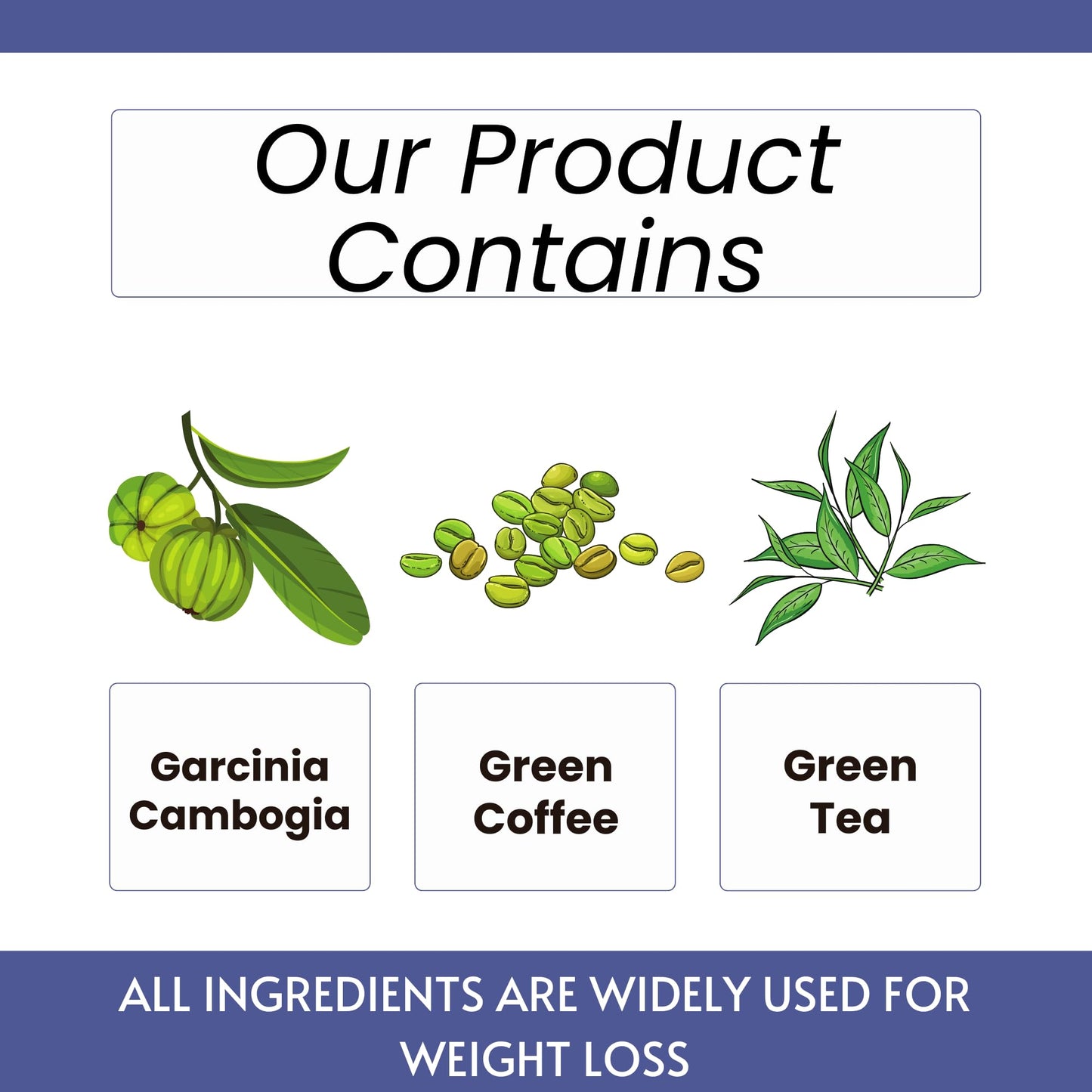 https://cdn.shopify.com/s/files/1/1857/6931/files/71LXeG4ZzUL.jpg?v=1770706473