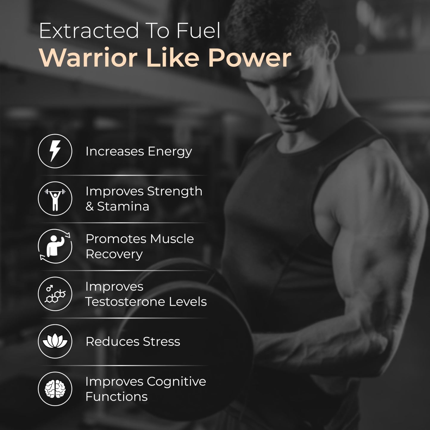 https://cdn.shopify.com/s/files/1/1857/6931/files/71OFHLC8ZoL.jpg?v=1776335012