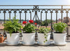 Image 1 of Default Title for the product Go Hooked Go HookedPlastic Duro Flower Pot for Gardening, Indoor/Outdoor Planter-White (10 Inch)(Pack of 4 with Tray)