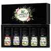 https://cdn.shopify.com/s/files/1/1857/6931/products/71R4fCKnc9S._SL1440.jpg?v=1762359481