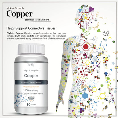 https://cdn.shopify.com/s/files/1/1857/6931/files/71SRKegmEXL.jpg?v=1770706243