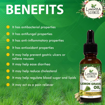 https://cdn.shopify.com/s/files/1/1857/6931/products/71ZZVYS-L._SL1080.jpg?v=1673002447