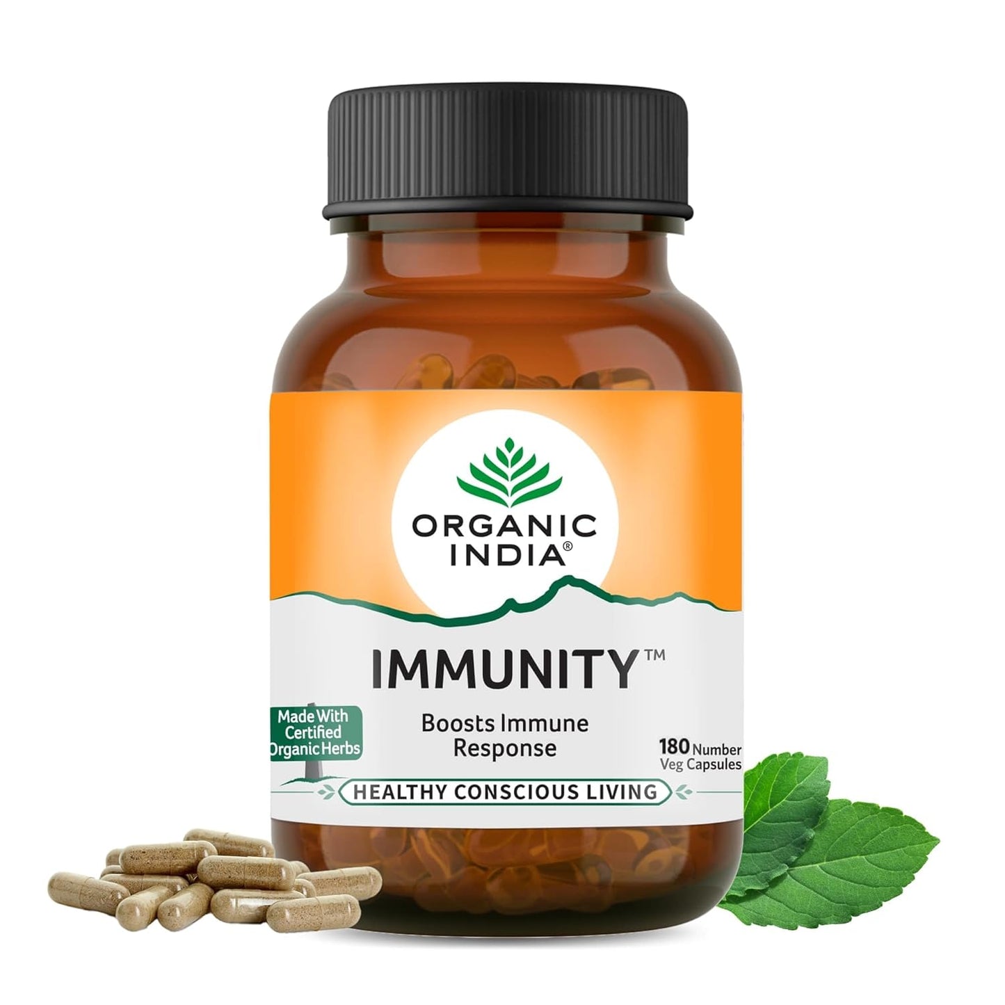 https://cdn.shopify.com/s/files/1/1857/6931/files/71_HgKxzkxL._SL1500.jpg?v=1765858376