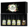 https://cdn.shopify.com/s/files/1/1857/6931/products/71_RElys4kS._SL1440.jpg?v=1759366067