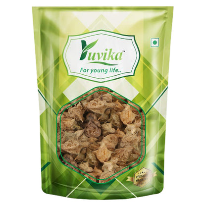 https://cdn.shopify.com/s/files/1/1857/6931/files/71_iAzlhKVL._SL1500.jpg?v=1761993927