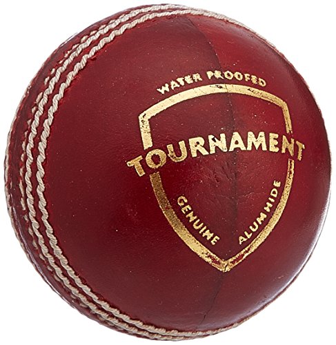Image 1 of Default Title for the product SG Tournament Leather Ball