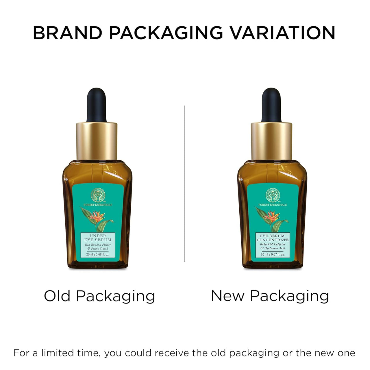 https://cdn.shopify.com/s/files/1/1857/6931/files/71benVSN9AL._SL1500.jpg?v=1742190124