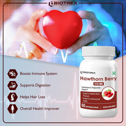 https://cdn.shopify.com/s/files/1/1857/6931/files/71cMRbvGUML._SL1500.jpg?v=1745220048