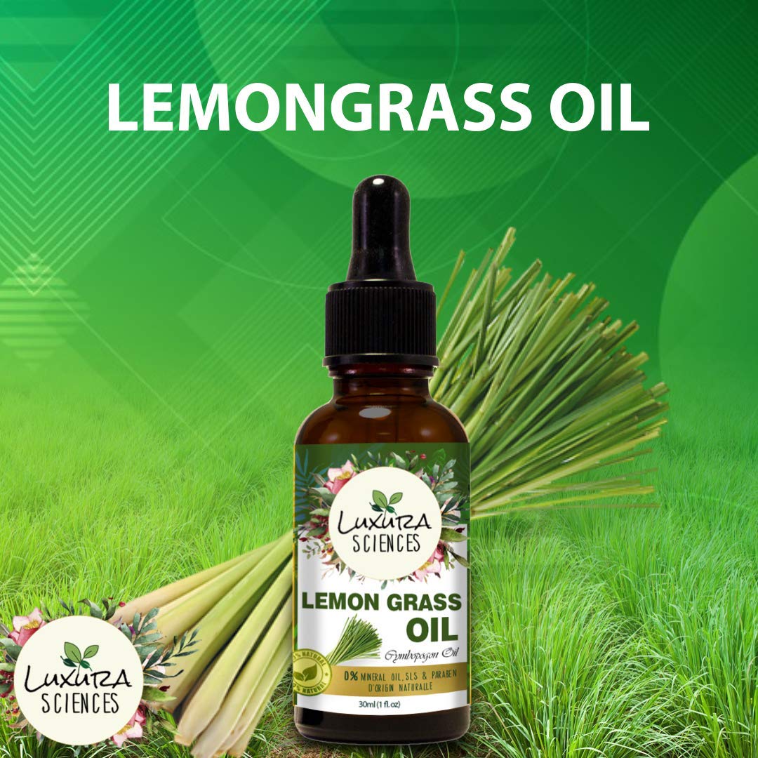 https://cdn.shopify.com/s/files/1/1857/6931/products/71dEUwpUViL._SL1080.jpg?v=1673002447