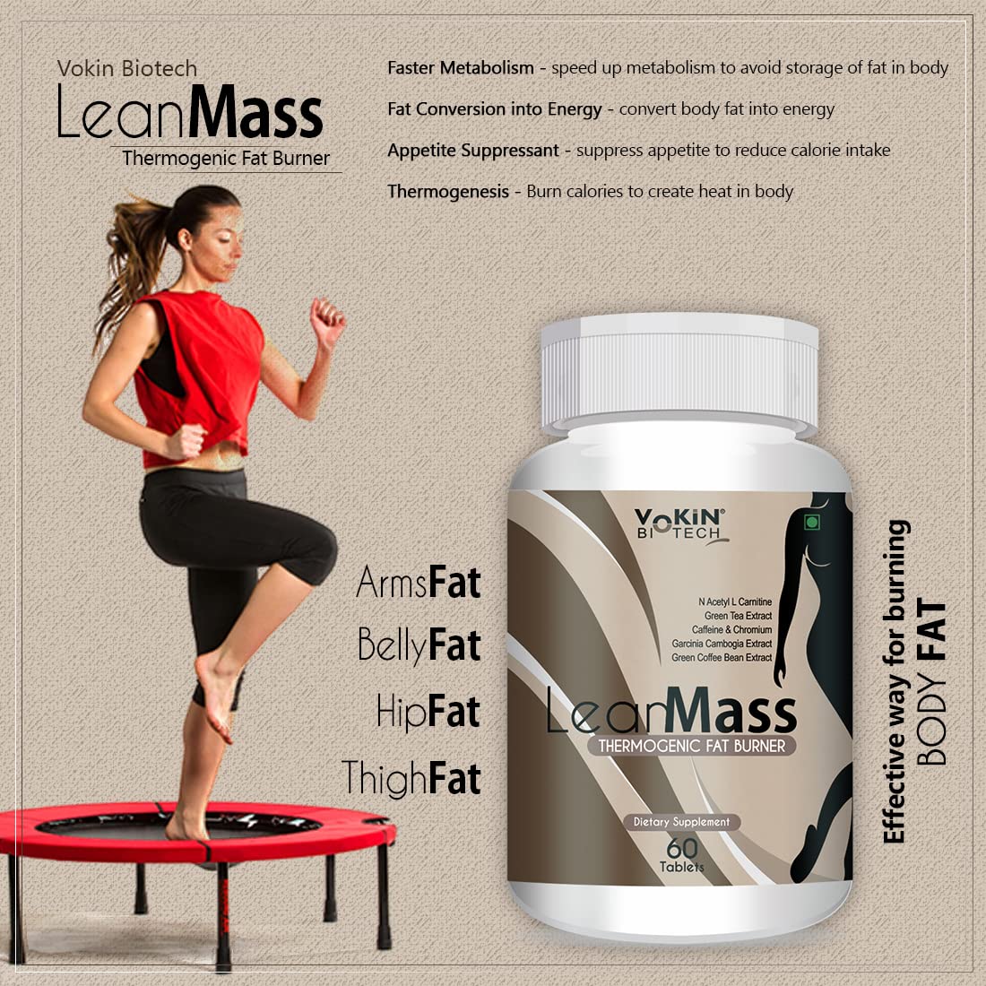 https://cdn.shopify.com/s/files/1/1857/6931/files/71dYbBn6hHL.jpg?v=1770706703