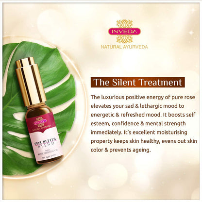 https://cdn.shopify.com/s/files/1/1857/6931/products/71g0mqNSonS._SL1200.jpg?v=1637412869