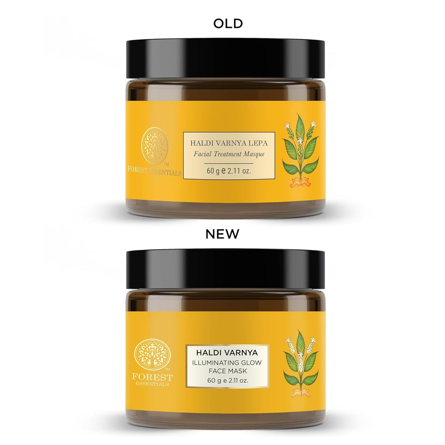 https://cdn.shopify.com/s/files/1/1857/6931/files/71gOt7jCKGL._SL1500.jpg?v=1733914104