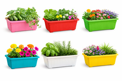 Image 1 of Default Title for the product Go Hooked Planters | Multicolor | Rectangular | Plastic Pots for Plants | Jupiter Flower Pots for Home | Window Display Planters | Garden Planters | Set of 6 | 35 x 18.5 x 15 cm