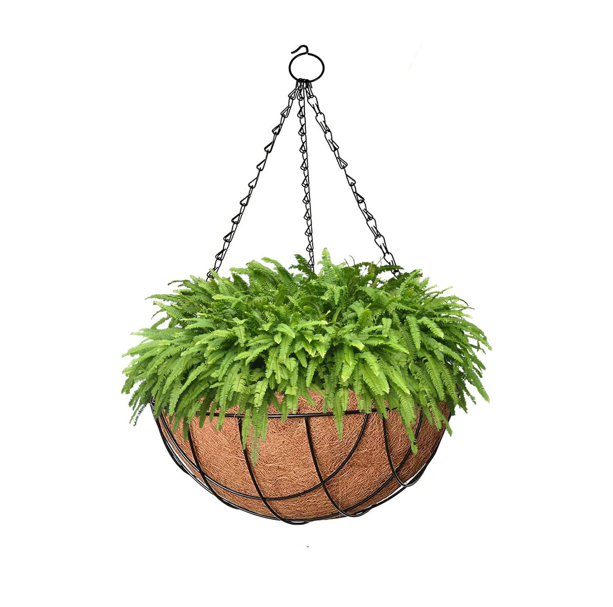Image 6 of Go Hooked 8" Coir Hanging Basket/Coco Gardening Liner with Hanging Pots and Metal Hanging Chain/Hanging Planters- Set of 5 (Brown)