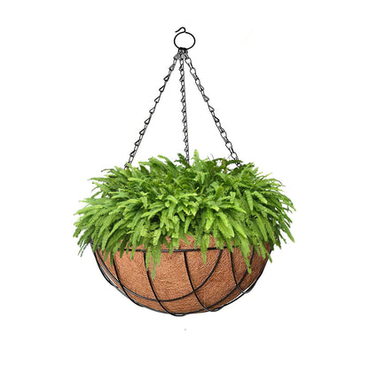 Image 6 of Go Hooked 8" Coir Hanging Basket/Coco Gardening Liner with Hanging Pots and Metal Hanging Chain/Hanging Planters- Set of 5 (Brown)