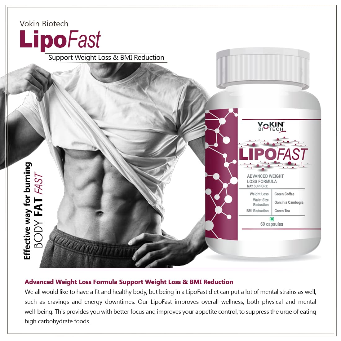 https://cdn.shopify.com/s/files/1/1857/6931/files/71iy0cjVozL.jpg?v=1770706715