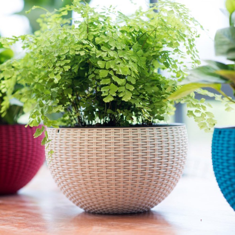 Image 3 of Go Hooked Plastic Hanging Pot, White, Pot Diameter-7.1 Inch, Pot Height-4.8 Inch, Pot Thickness-3 mm, Chain Length-13 inch Approx., 5 Pieces