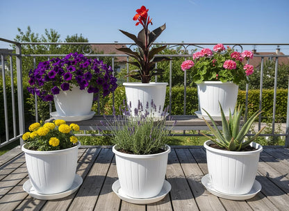 Image 1 of Default Title for the product Go Hooked Go HookedPlastic Duro Flower Pot for Gardening, Indoor/Outdoor Planter-White (8 Inch)(Pack of 6 with Tray)