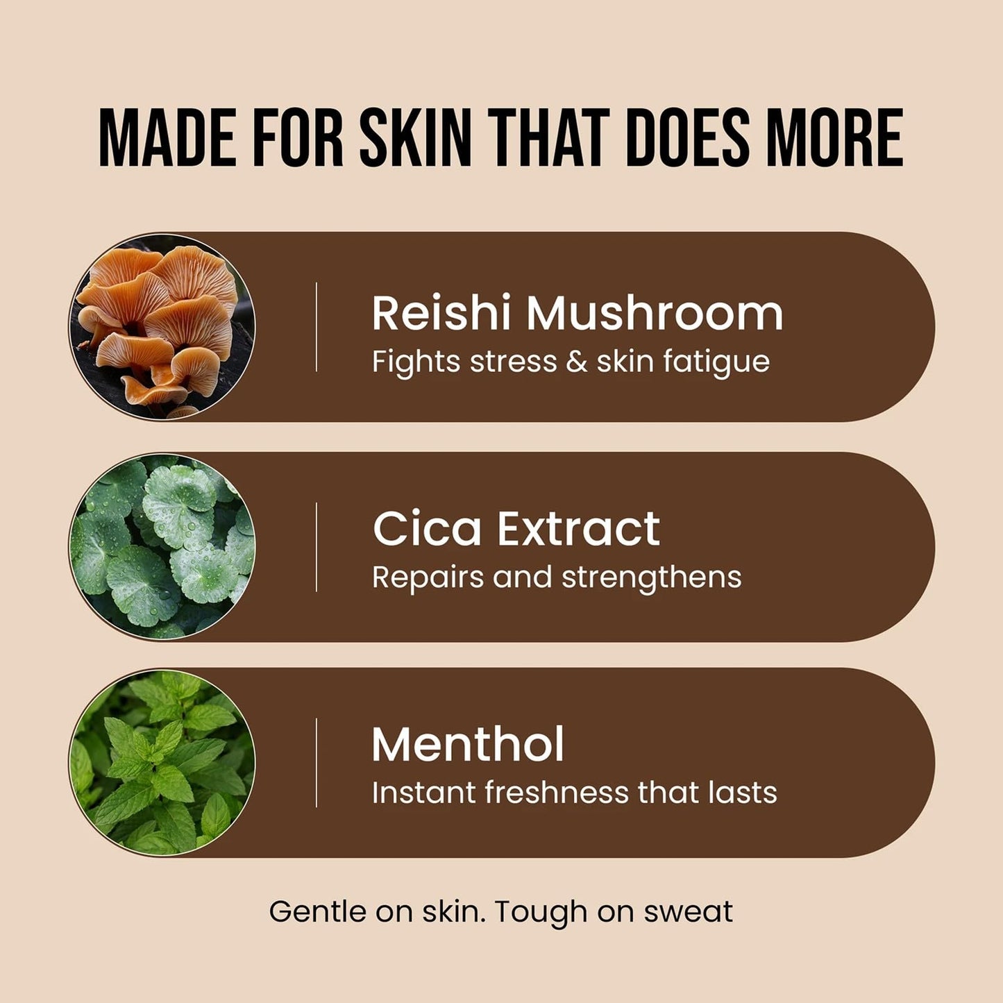 https://cdn.shopify.com/s/files/1/1857/6931/files/71yfQA8FW_L.jpg?v=1771488219