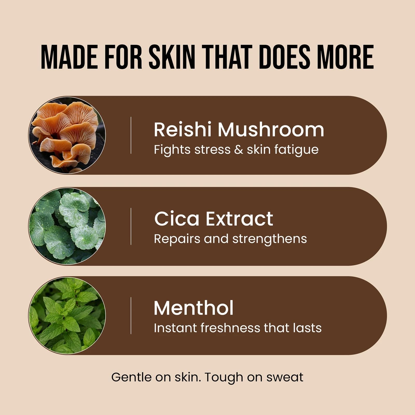 https://cdn.shopify.com/s/files/1/1857/6931/files/71yfQA8FW_L.jpg?v=1771488219