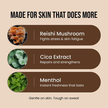 https://cdn.shopify.com/s/files/1/1857/6931/files/71yfQA8FW_L.jpg?v=1771488219