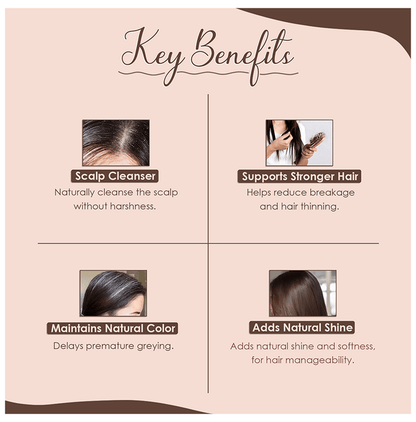 https://cdn.shopify.com/s/files/1/1857/6931/files/723f7e5623ce4f16a4df6fea541b83a8.png?v=1763541136