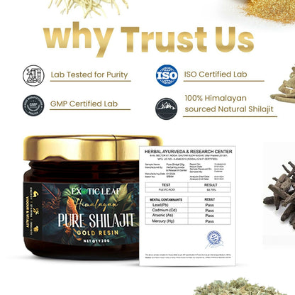 https://cdn.shopify.com/s/files/1/1857/6931/files/72OBEd0Cse.jpg?v=1725528938