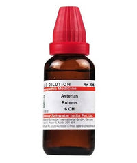 https://cdn.shopify.com/s/files/1/1857/6931/products/72f6N5mY6b.jpg?v=1640930085