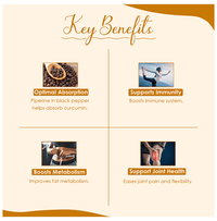 https://cdn.shopify.com/s/files/1/1857/6931/files/73233b5470ac4cf8ae0f6013a5ff5e7d.png?v=1763540990