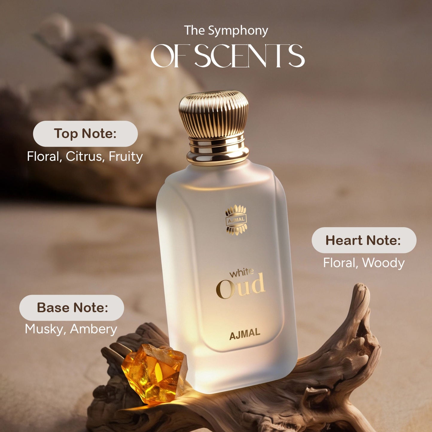 https://cdn.shopify.com/s/files/1/1857/6931/files/7458ffd8906066313271_4.jpg?v=1779877783