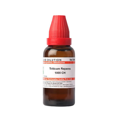 https://cdn.shopify.com/s/files/1/1857/6931/products/74Ym4JnUIA.jpg?v=1640860099