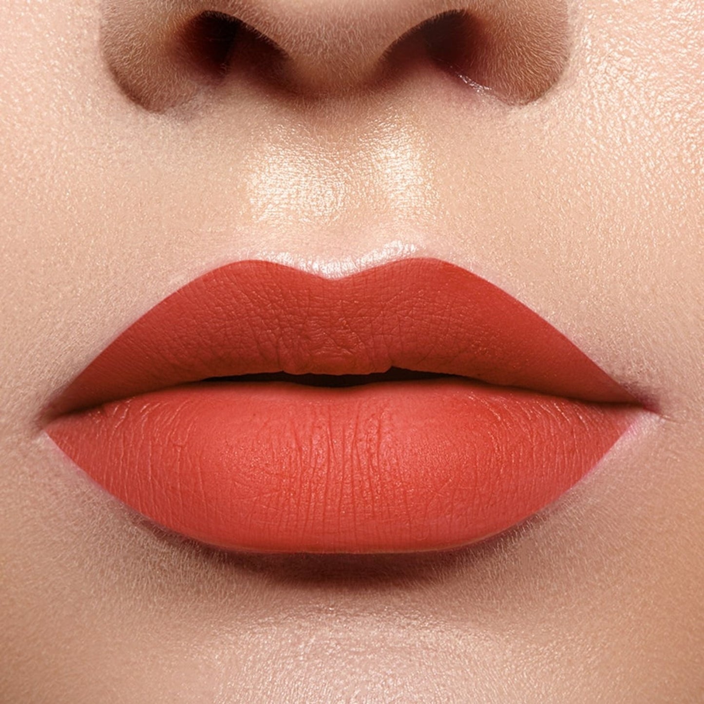 https://cdn.shopify.com/s/files/1/1857/6931/files/7622ce0CHARA00000209_2.jpg?v=1770804109