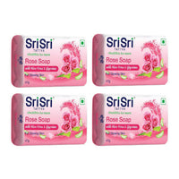 https://cdn.shopify.com/s/files/1/1857/6931/products/76Wk9Ieiof.jpg?v=1653128246