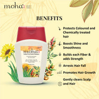 https://cdn.shopify.com/s/files/1/1857/6931/products/76piQ7ORk7.jpg?v=1630672494