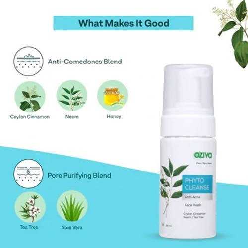 https://cdn.shopify.com/s/files/1/1857/6931/products/76yfXQm4KD.jpg?v=1646993786