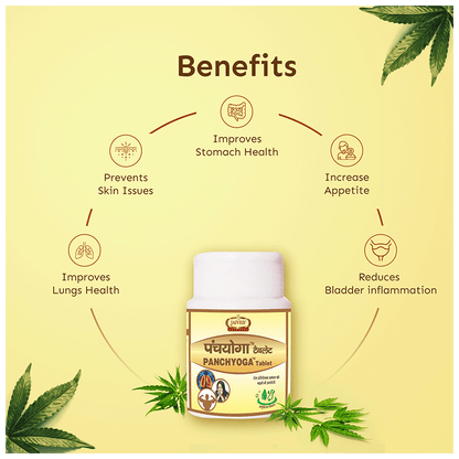https://cdn.shopify.com/s/files/1/1857/6931/files/775b09dd19834761b00d8dff81e7cb28.png?v=1765800088