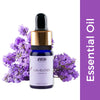 https://cdn.shopify.com/s/files/1/1857/6931/files/787aef48904245702045_1.jpg?v=1770721743